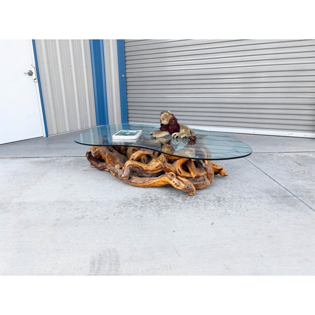 1960s Mid-Century Modern Driftwood Coffee Table With Freeform Glass Top For Sale - Image 4 of 15