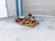 1960s Mid-Century Modern Driftwood Coffee Table With Freeform Glass Top For Sale - Image 4 of 15