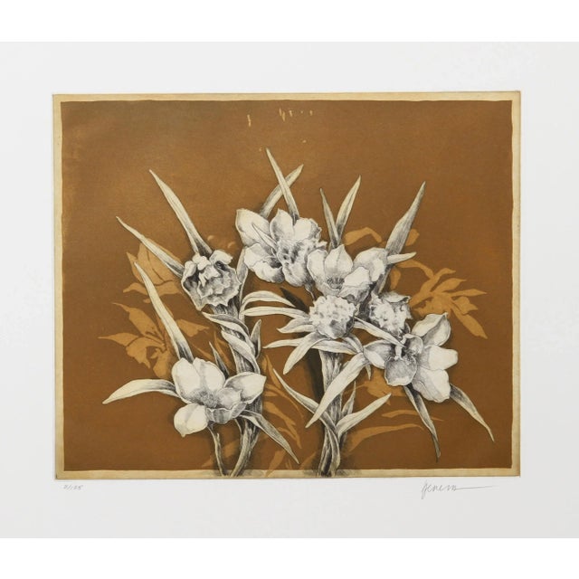 Modern Miguel Herrera, Flowers on Ochre, Etching With Aquatint For Sale - Image 3 of 3