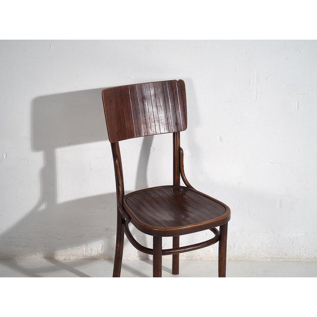 Brown Bentwood Chairs attributed to Michael Thonet, 1940s, Set of 4 For Sale - Image 8 of 12