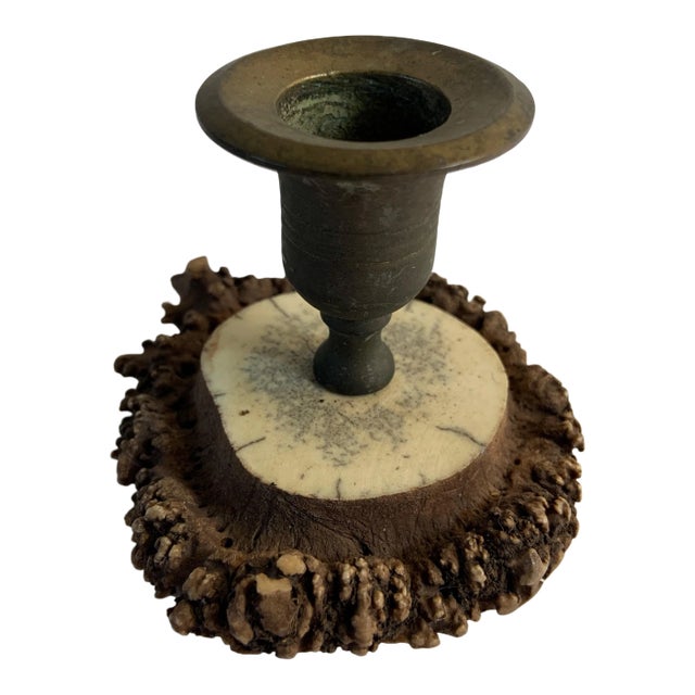 Antique 1910s Horn Antler Candleholder For Sale