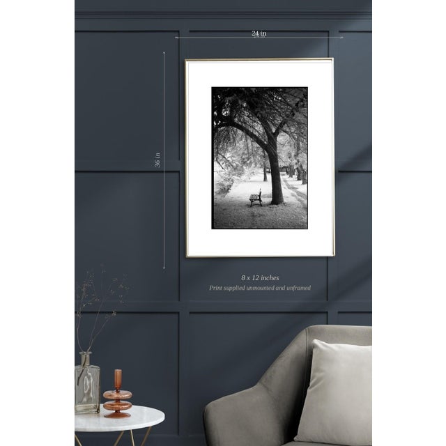 Not Yet Made - Made To Order Paul Cooklin, Trees, Ardennes, Edition of 50 For Sale - Image 5 of 7