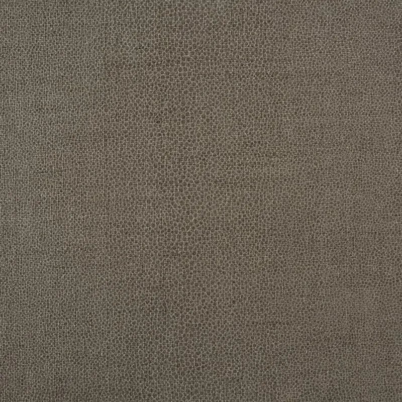 Sample - Schumacher Gloss Shagreen Fabric in Stone | Chairish