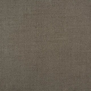 Sample - Schumacher Gloss Shagreen Fabric in Stone For Sale