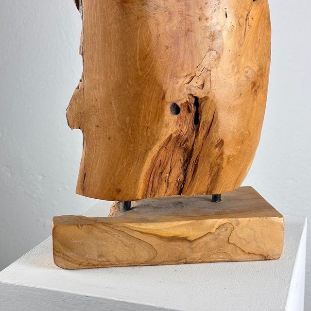 Italian Phytomorphic Abstract Sculpture in Natural Ash, 1960s For Sale - Image 18 of 18