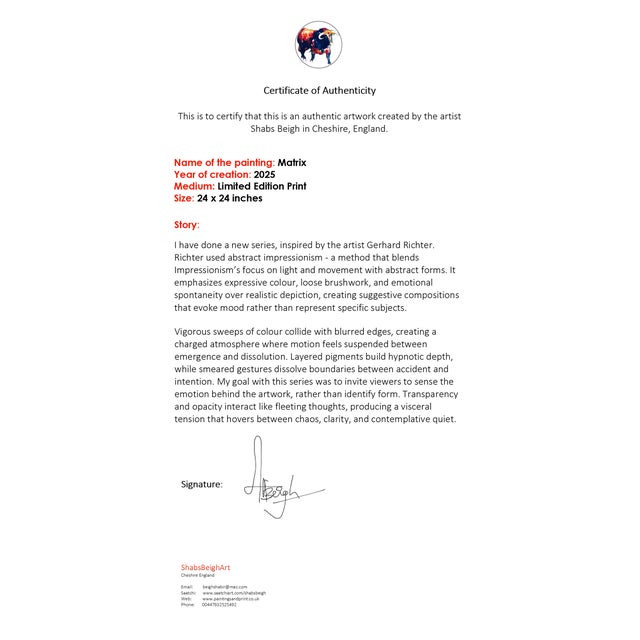 2020s Matrix Print Abstract Expressionism by Shabs Beigh For Sale - Image 5 of 5