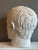 Young and Older Julius Caesar Plaster Heads, Set of 2 For Sale - Image 10 of 15