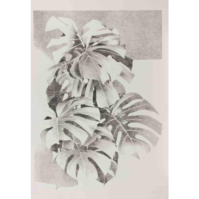 Mario Bardi, Plants, Lithograph, 1979 For Sale