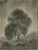 2020s Watercolor Landscape on Raw Canvas For Sale - Image 5 of 5