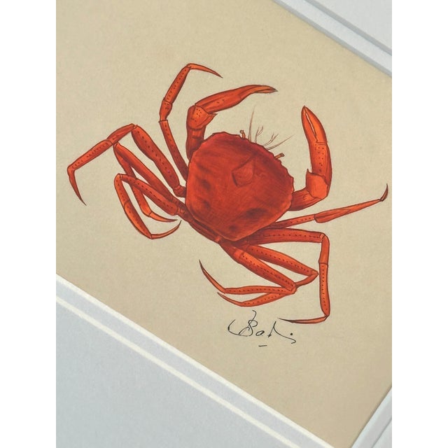 This hand-painted crab is painted in a rich spectrum of oranges — from deep burnt sienna and rust to glowing tangerine...