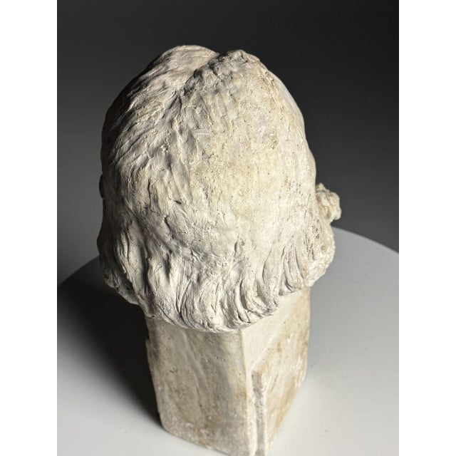 Classic Statue Head, 20th Century, Plaster For Sale - Image 14 of 18