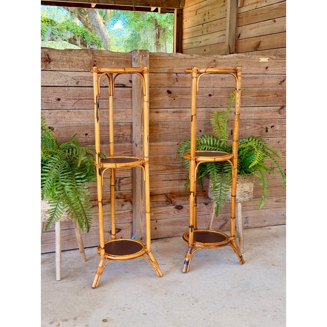 Pair of Victorian Rattan Three-Tier Plant Stands, Late 19th Century For Sale - Image 12 of 12