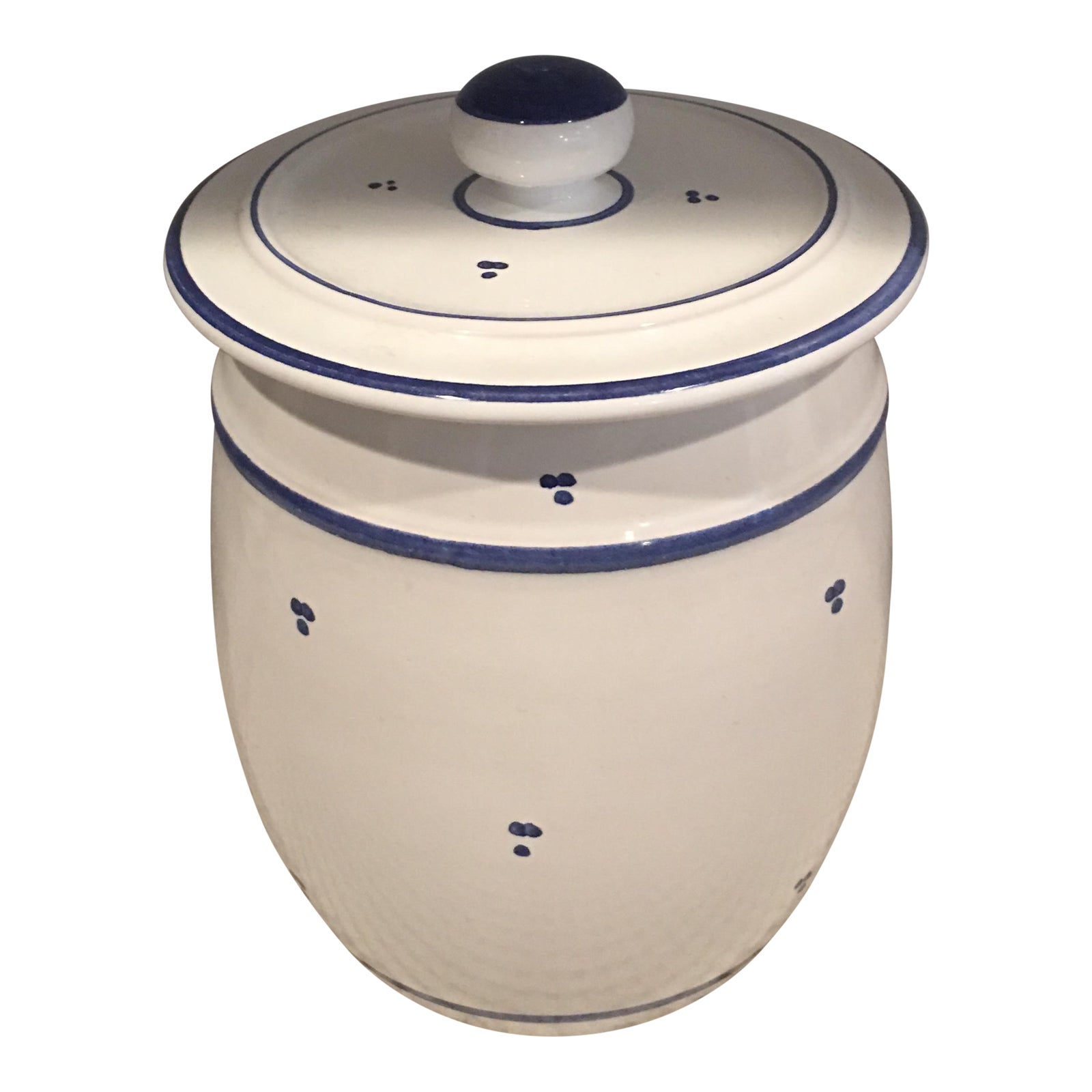 Blue & White Ceramic Canister Chairish