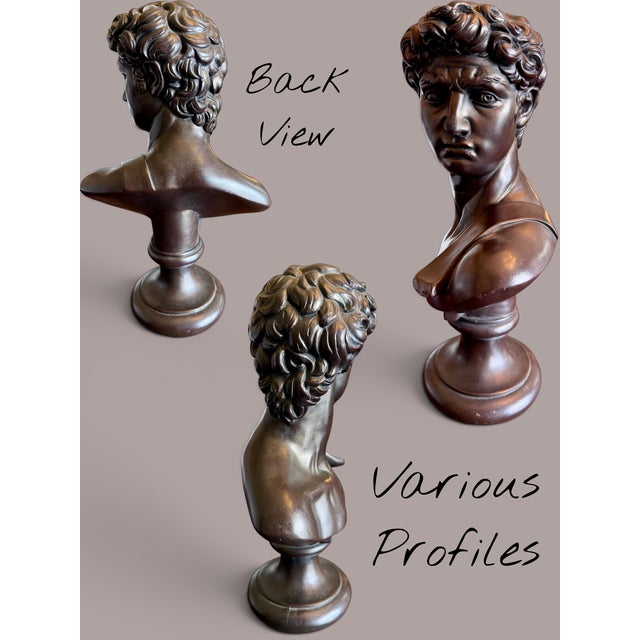 Renaissance Vintage 1966 Austin Productions David Bust-Michelangelo-Faux Bronze-Classical For Sale - Image 3 of 10