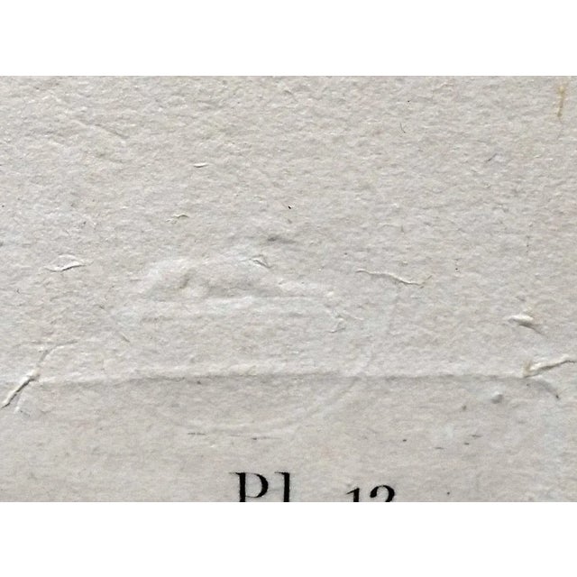 Paper Description De l'Égypte Imperial Eagle Engraving, Savigny, Barraband, Circa 1826 For Sale - Image 7 of 12