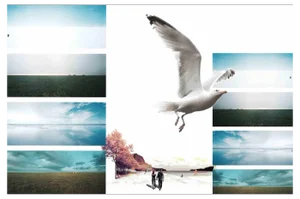 Chiara Santoro, Spring Flight, Digital Collage, 2017