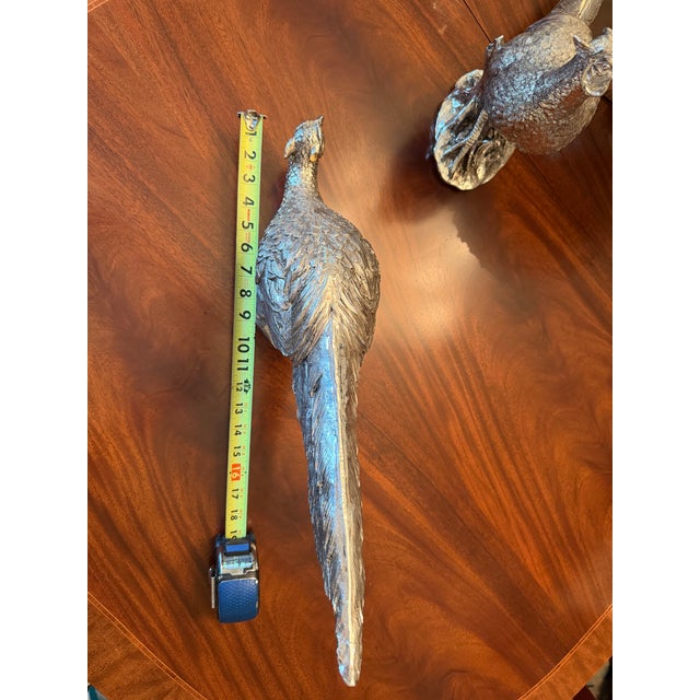 Pheasant Pair For Sale - Image 12 of 14