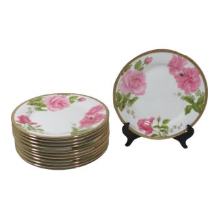 2000s Roses and Bugs Dinner Plates With Gilt Edge- Set of 12 For Sale