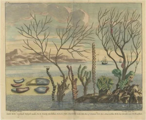 Various Water Plants, 1726, Paper