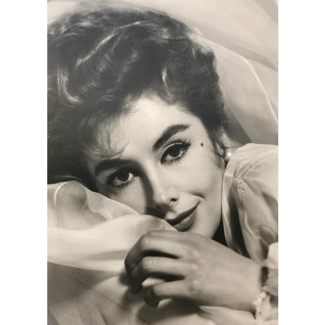 Portraiture Vintage Hollywood Glamor Portrait Kay Kendall by Virgil Apger 1955 For Sale - Image 3 of 6