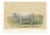 Geoffroy After Jadin, Charolais Cow, 1873, Paper For Sale