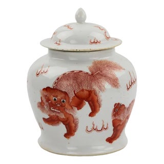 Kangxi Period Chinese Porcelain Vase in Painted Iron Red Overglaze Dog Fo For Sale