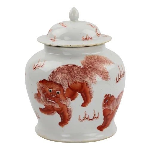 Kangxi Period Chinese Porcelain Vase in Painted Iron Red Overglaze Dog Fo For Sale