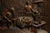 Black Forest Carved Wood High-Relief Plaque / Panel For Sale - Image 4 of 7