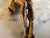 Brown 17th Century Alpine Wooden Christ Torso with Polychrome Traces For Sale - Image 8 of 15
