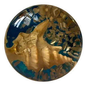 Vintage Italian Flexi Glass Gear Knob with Shell Micro-Cosmos, 1970s