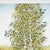 Costanza Mantovani, Countryside and Harvest, Oil on Canvas For Sale - Image 3 of 6