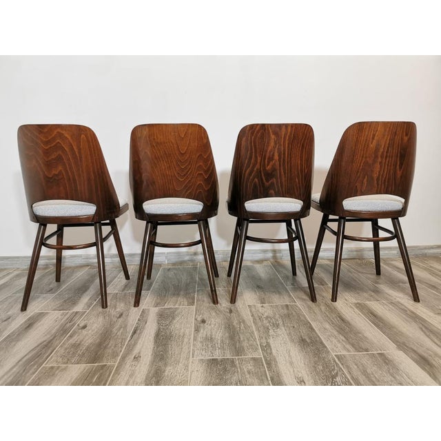 Dining Chairs by Radomir Hoffman for Ton, 1950s, Set of 4 For Sale - Image 17 of 18
