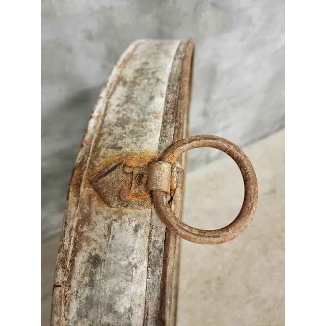 Large Zinc Plate Grape Tray, 1890s For Sale - Image 9 of 11