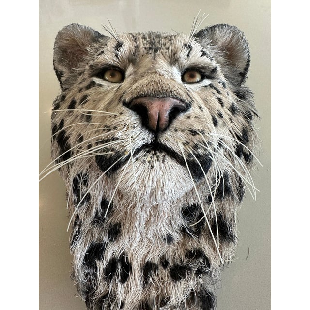 Anne Andersson Sisal Fiber Snow Leopard 2006 For Sale - Image 12 of 12