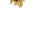 Earrings in 18K Gold and Citrine, Set of 2 For Sale - Image 5 of 6