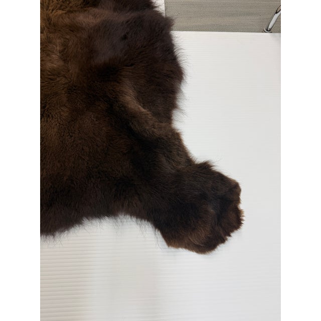 Late 20th Century 6ft 8in × 8ft Buffalo Pelt, Winter Woolly For Sale - Image 5 of 12