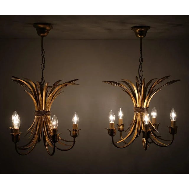 Gilded Brass Wheat Sheaf Chandeliers, Italy, 1970s, Set of 2 For Sale - Image 3 of 11