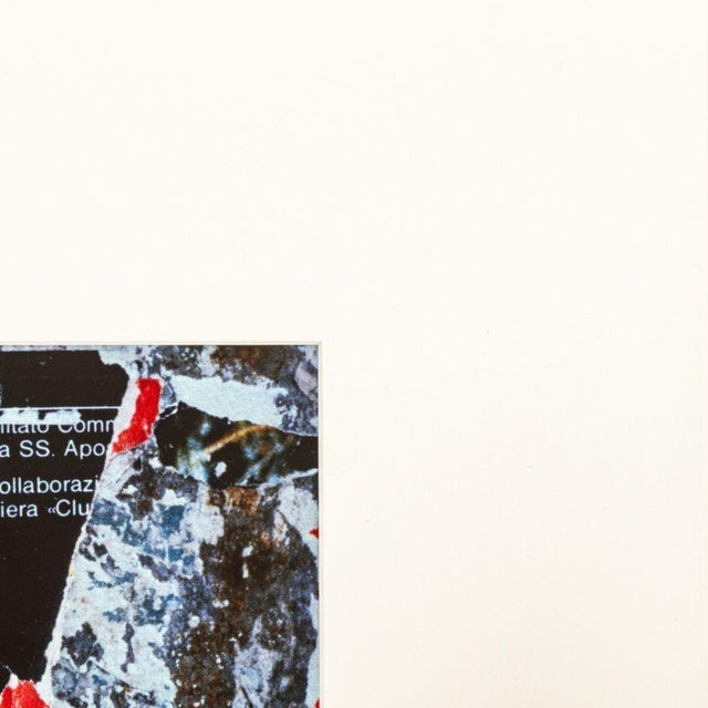 Anne Sager Digital Photography Collage C-Print For Sale - Image 4 of 7