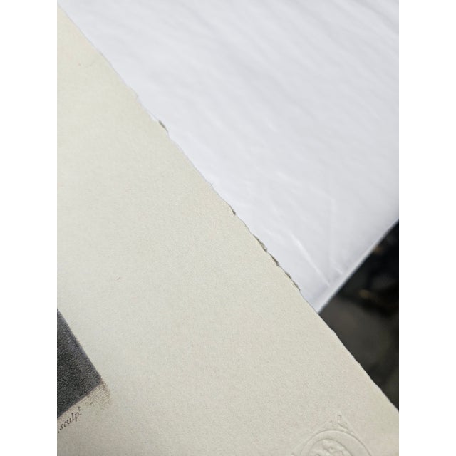 2000s Thornton Pl. 3, the Snowdrop Kew Gardens Oppenheimer Editions Print For Sale In Baltimore - Image 6 of 6