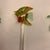 Vintage Coastal Nautical Sea Life Cocktail Stirrers Swizzler Sticks Set of 6 For Sale - Image 4 of 9