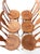 Brown Antique Victorian Bentwood Dining Chairs Set of 6 For Sale - Image 8 of 15