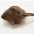 Metal Japanese Gilt Bronze Water Dropper (Suiteki) Meiji Period For Sale - Image 7 of 9