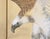 Khaki C. 1970s Painted Chinese Silk Screen "Bald Eagle" For Sale - Image 8 of 18