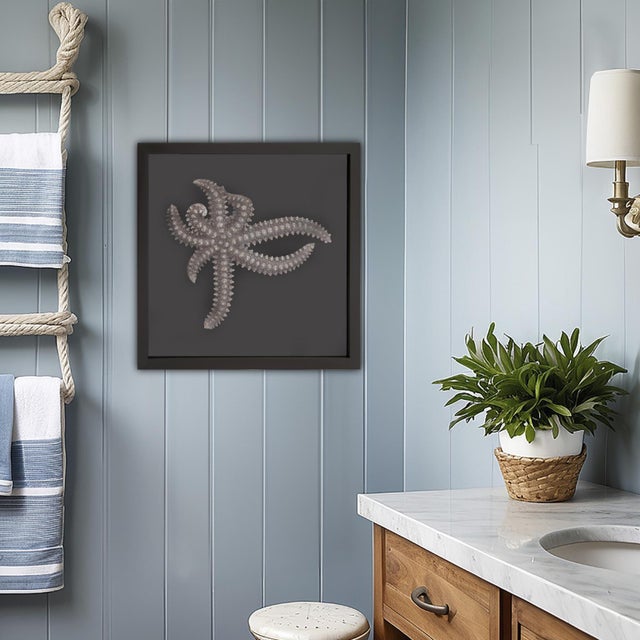 2020s Star Fish Framed Art For Sale - Image 5 of 8