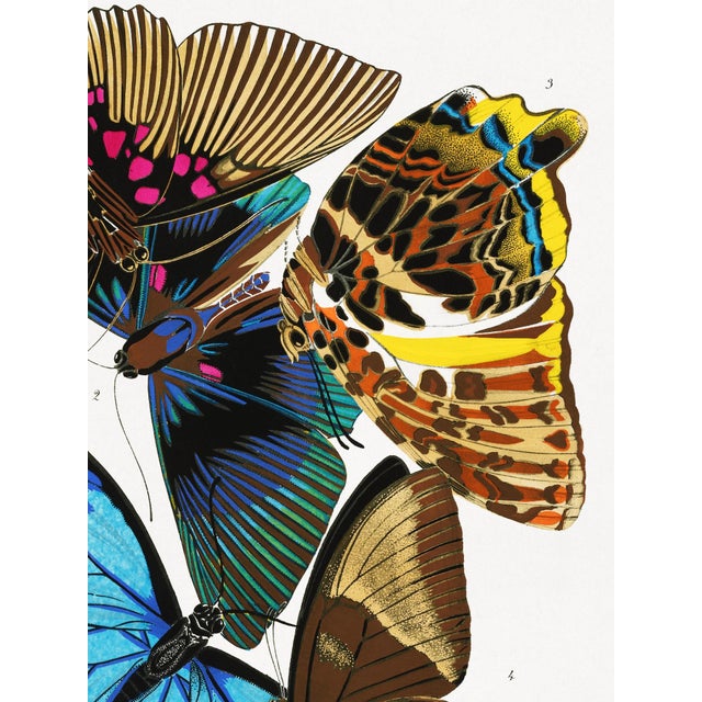 Art Deco Butterflies (E. A. Séguy), Vintage Art Print Reproduction, 18" × 24" For Sale - Image 3 of 6