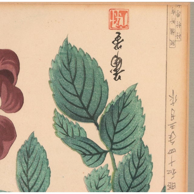 Cream Japanese Woodblock Botanical Print of Three Dstinct Varieties of Dahlia by Tanigami Kōnon For Sale - Image 8 of 9