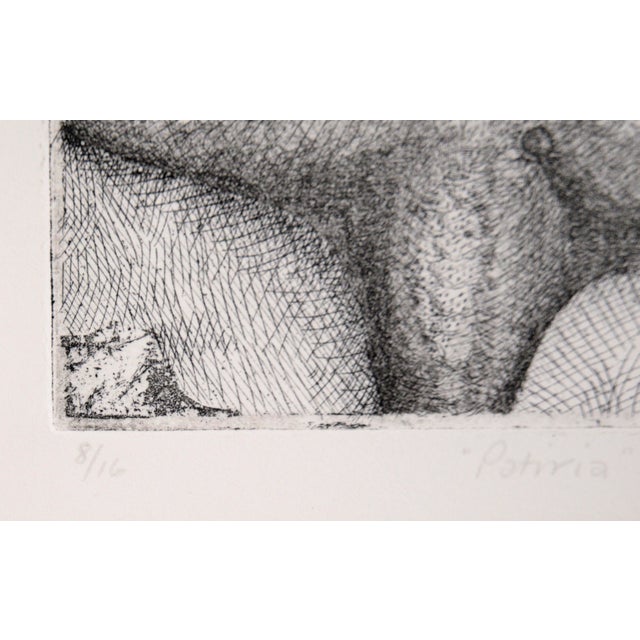 1980s Starfish Etching in Ink on Paper (#8/16) by J Brown For Sale - Image 5 of 10