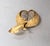 Mid-Century Modern Vintage Signed Hattie Carnegie Goldtone Pavé Clear Rhinestones Apple Brooch For Sale - Image 3 of 6