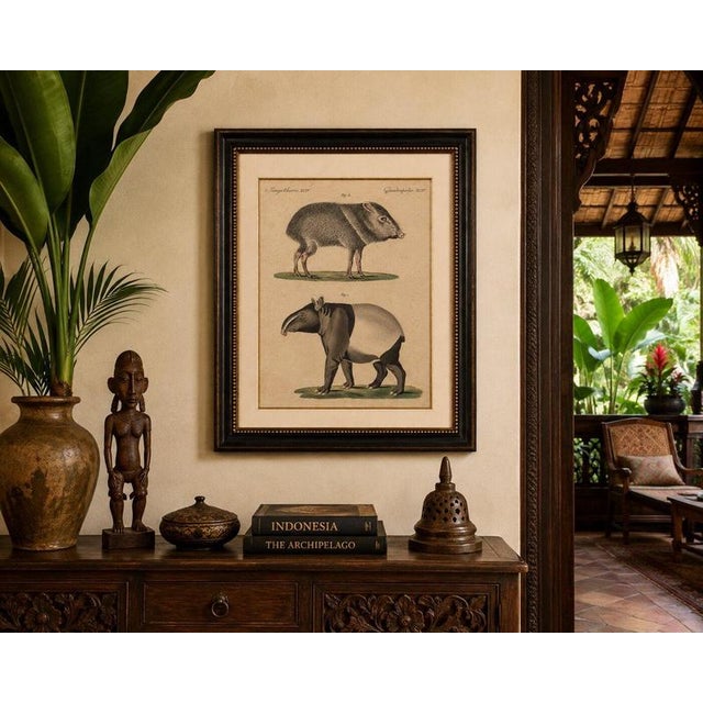 Black Bertuch, Malayan Tapir & Collared Peccary, 1815, Engraving For Sale - Image 8 of 9