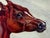 Victorian English Victorian Sporting Oil Painting of an Arabian Horse in the Bombay Stables, India, c.1900 For Sale - Image 3 of 18